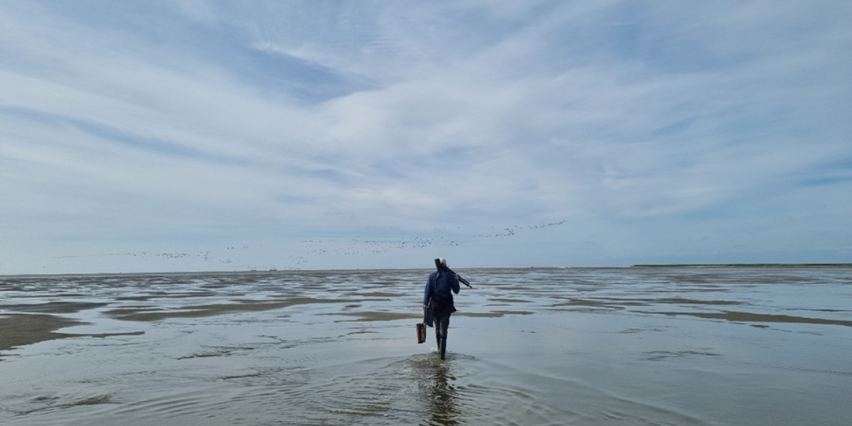 Timo Keuning loopt over het wad op zoek naar vogels. Foto: Evy Gobbens