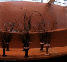 3D-geprinte bomen worden getest in het Hydraulic Engineering laboratorium aan de TU Delft