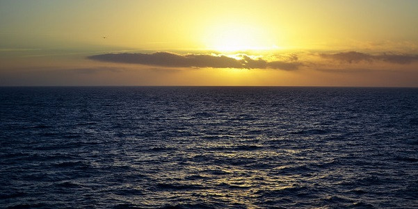 North Sea Expedition - Photo: Jonny Longrigg