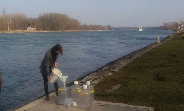 Sampling of the Rhine River water, March 2016, Karlsruhe. Photo: Julie Lattaud