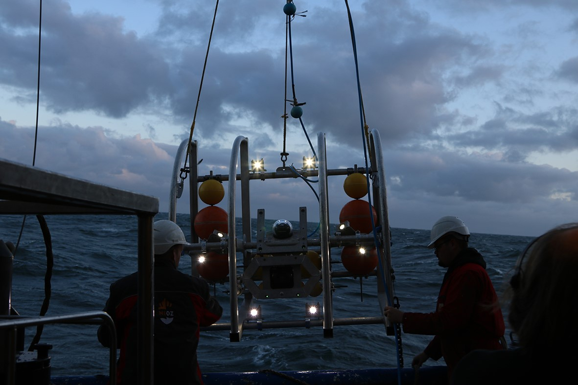 A video sledge shortly before its deployment in the early morning. Photo: NIOZ