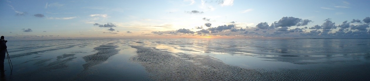Tidal flats (© Emma Penning, NIOZ).