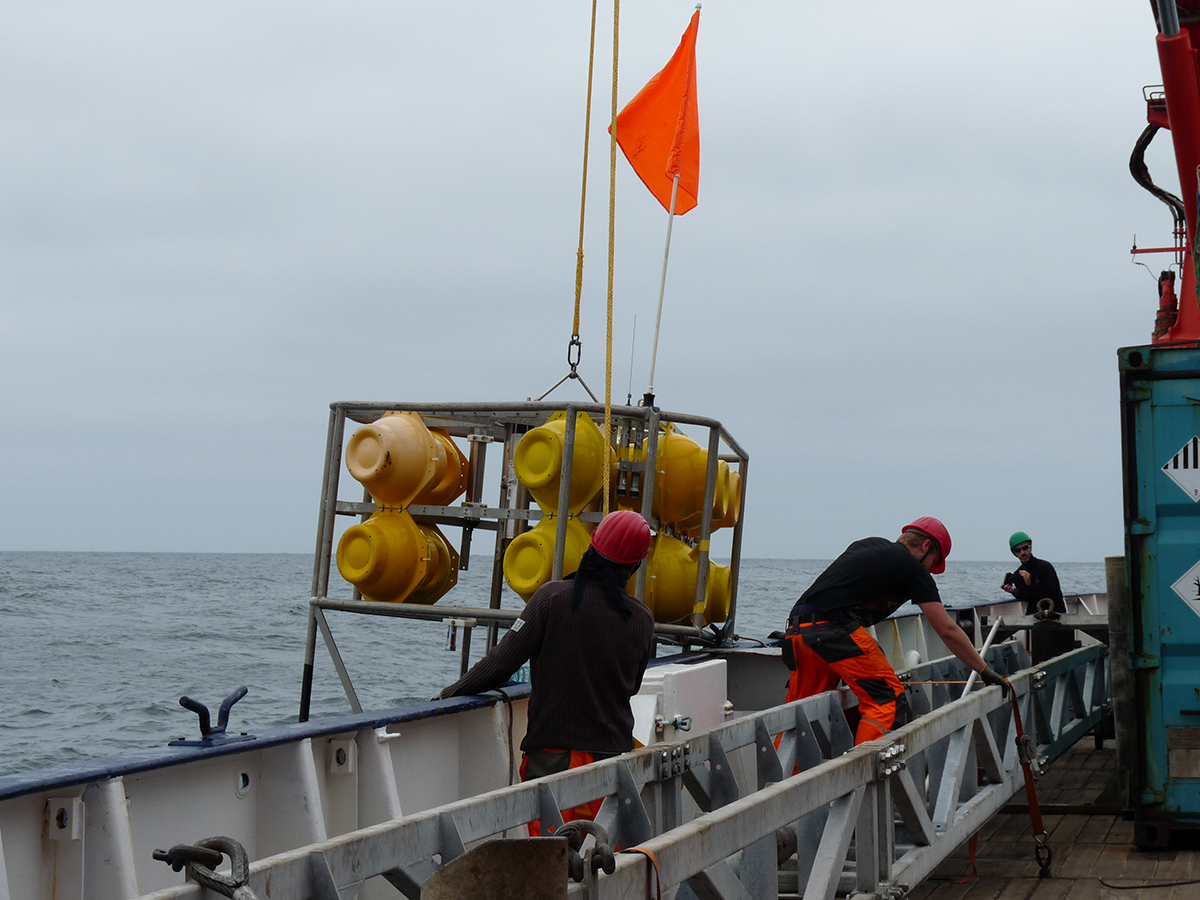 During the cruise NIOZ landers were deployed amidst the thriving reef to measure the oxygen concentrations in situ.