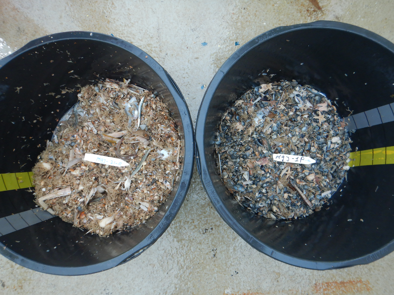 Difference in catch between outside (left) and inside (right) a sand extraction site (photo Rob Witbaard, NIOZ)