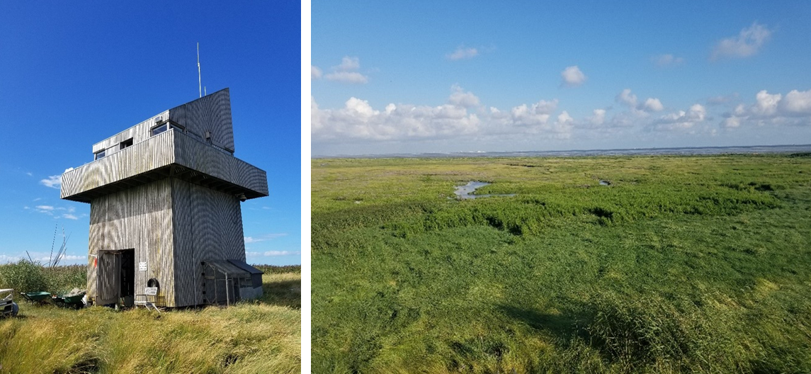 Links: De 'hut' van Natuurmonumenten op Griend. Rechts: uitgestrektheid van Griend in beeld. Foto's: Evy Gobbens