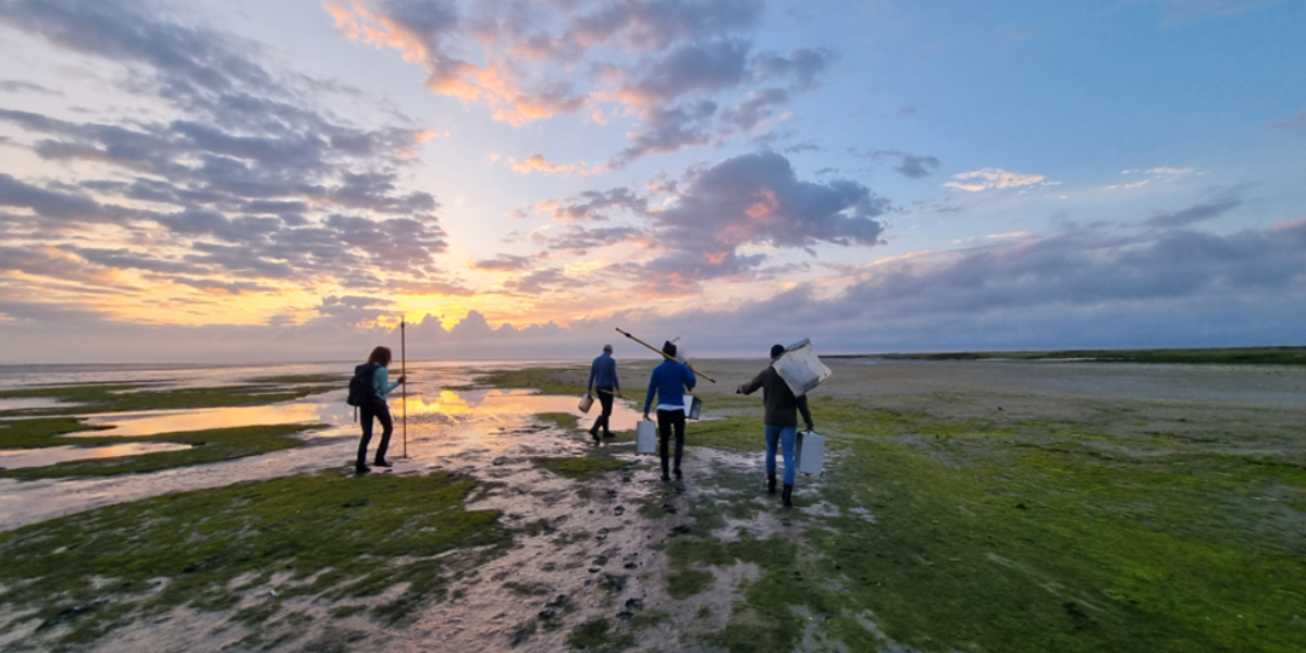 Met zonsopgang op pad om vroeg de garnalen te bemonsteren (foto: Evy Gobbens)