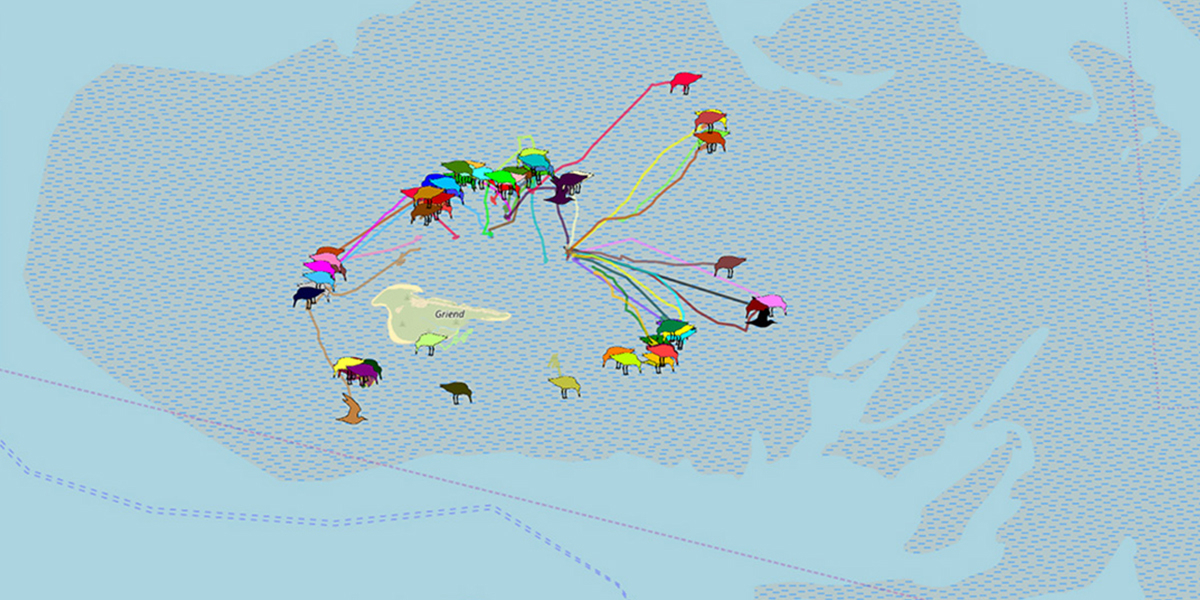 WATLAS - tracking regional movements