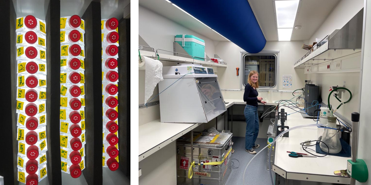 Left: Bioassay set-up. Right: Working in the lab.