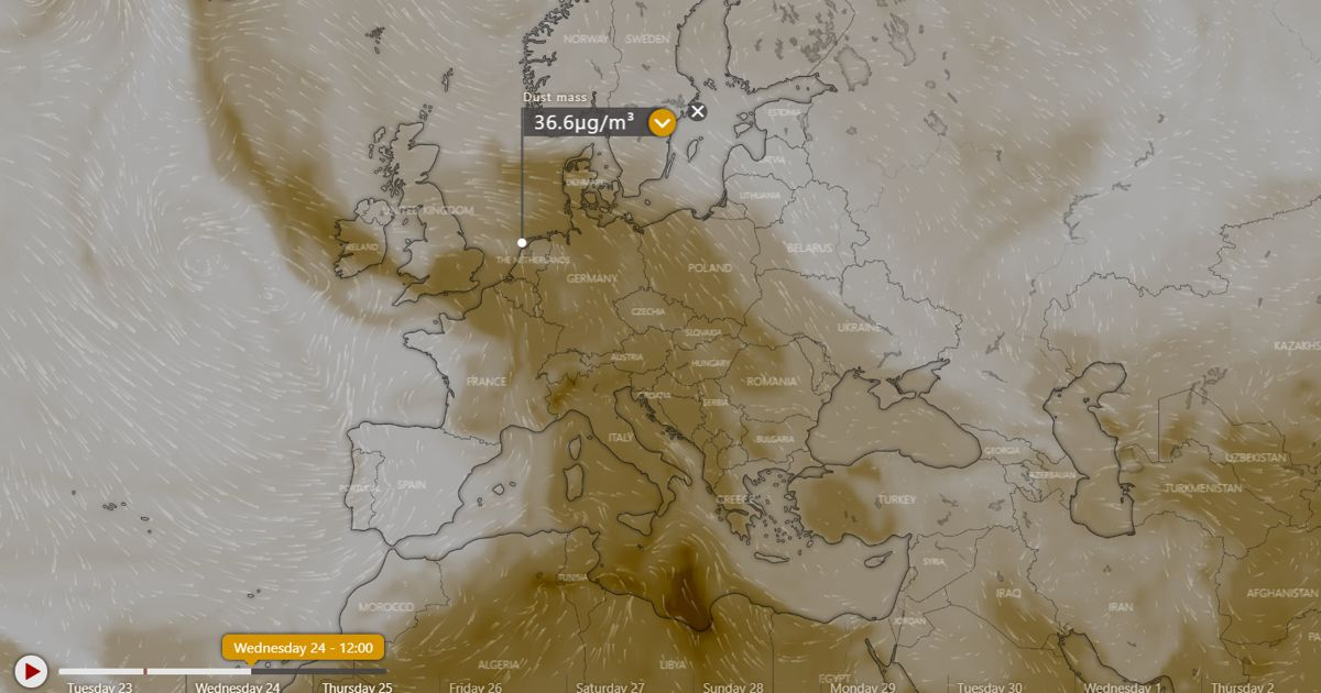 Windy.com projection of dust particles for 24 April, noon