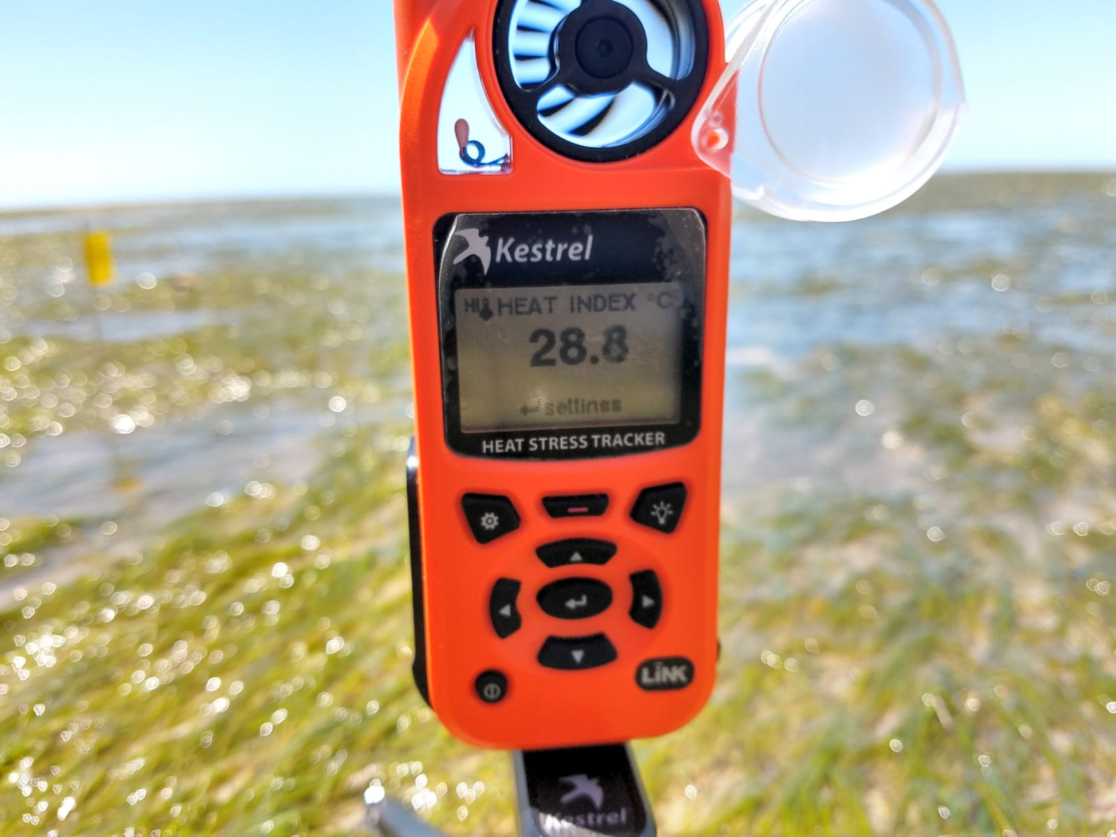 While video recording the focal bird we measure the local microclimate on the mudflat, e.g. as a measure of heat stress for the birds. Photo: Jan van Gils