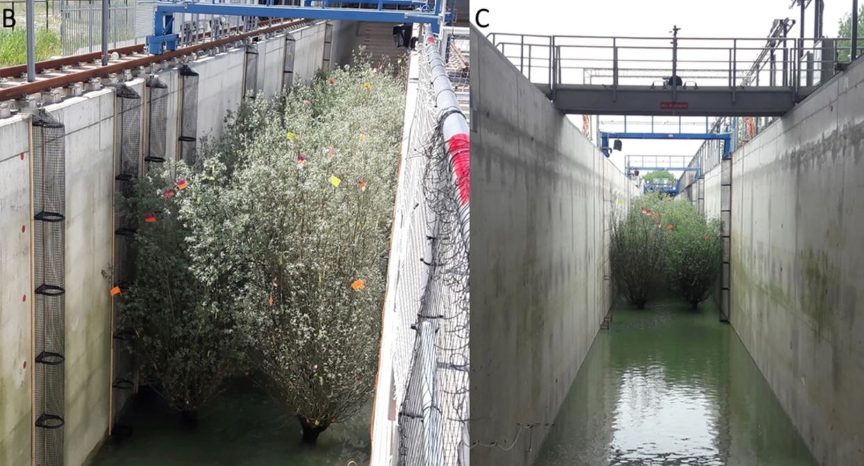 Setup of experiments inside the Delta Flume with the most important instruments, (left) front top view of willow forest, (right) view from the back slope.