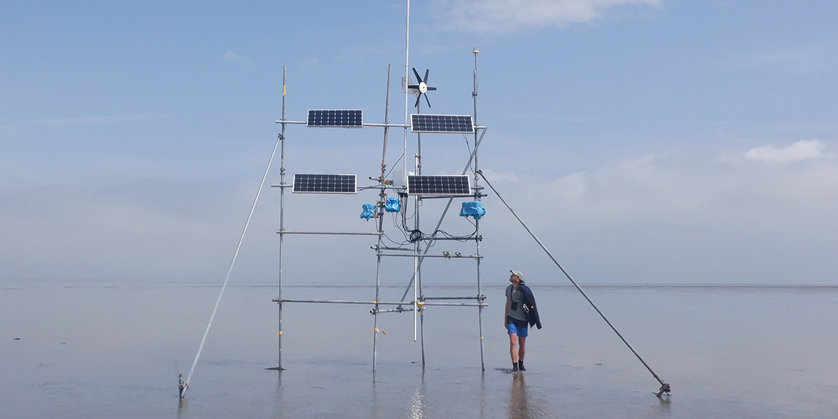 Local receiving mast as part of the WATLAS system. Photo: Allert Bijleveld