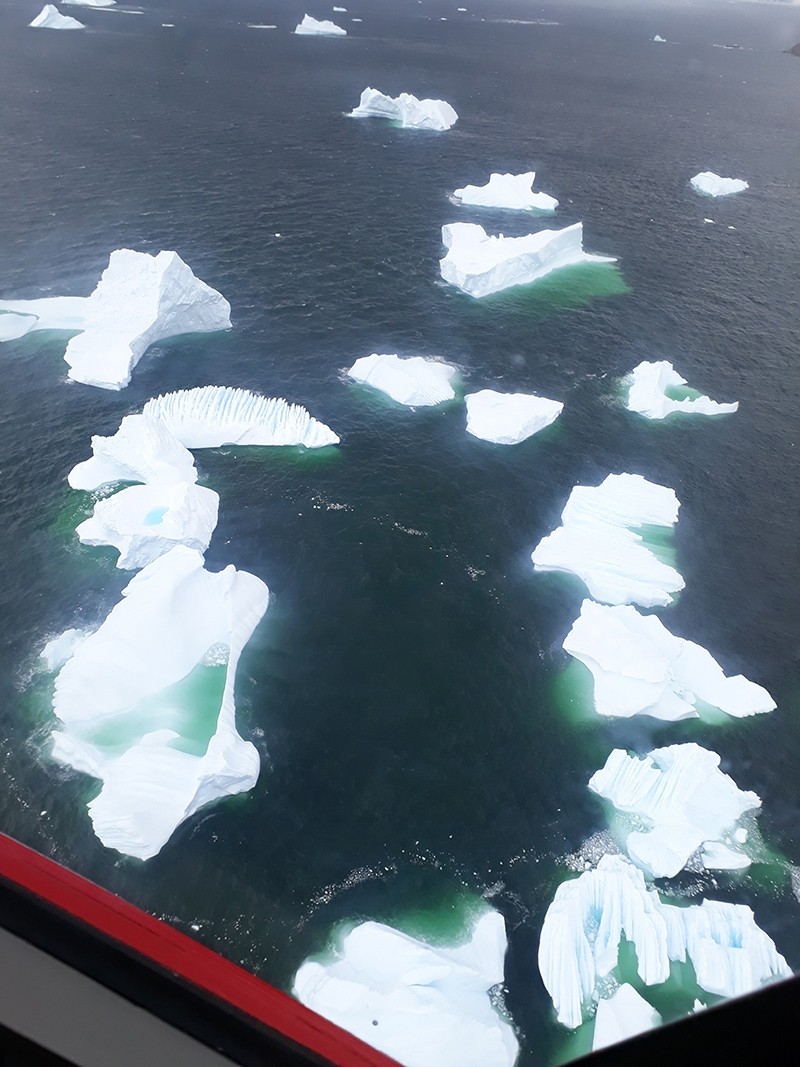 Little icebergs floating