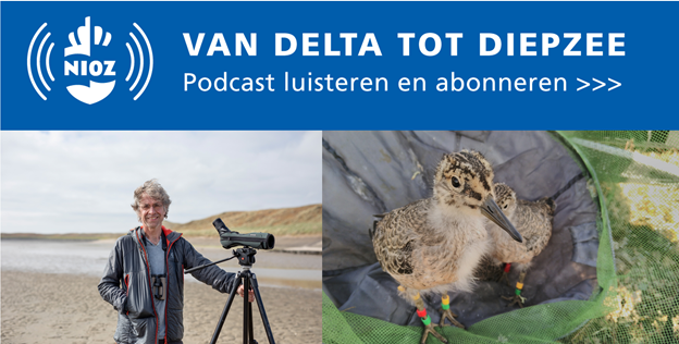 NIOZ podcast 15 De Pinokkio-snavel als aanpassing aan klimaatverandering met trekvogelecoloog Jan van Gils