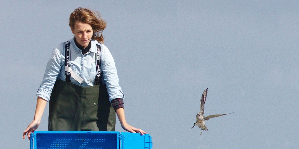 Eva Kok releases the sented bird.