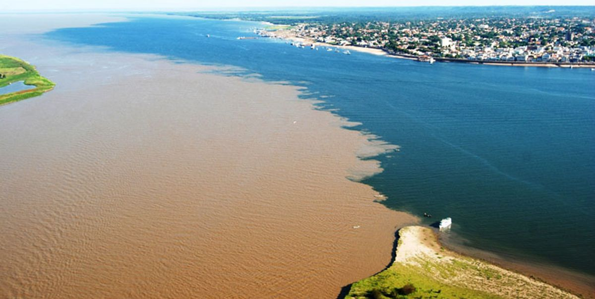 Sediment-laden waters of the Amazon River flush into the Atlantic Ocean. (image from crazyask.com)