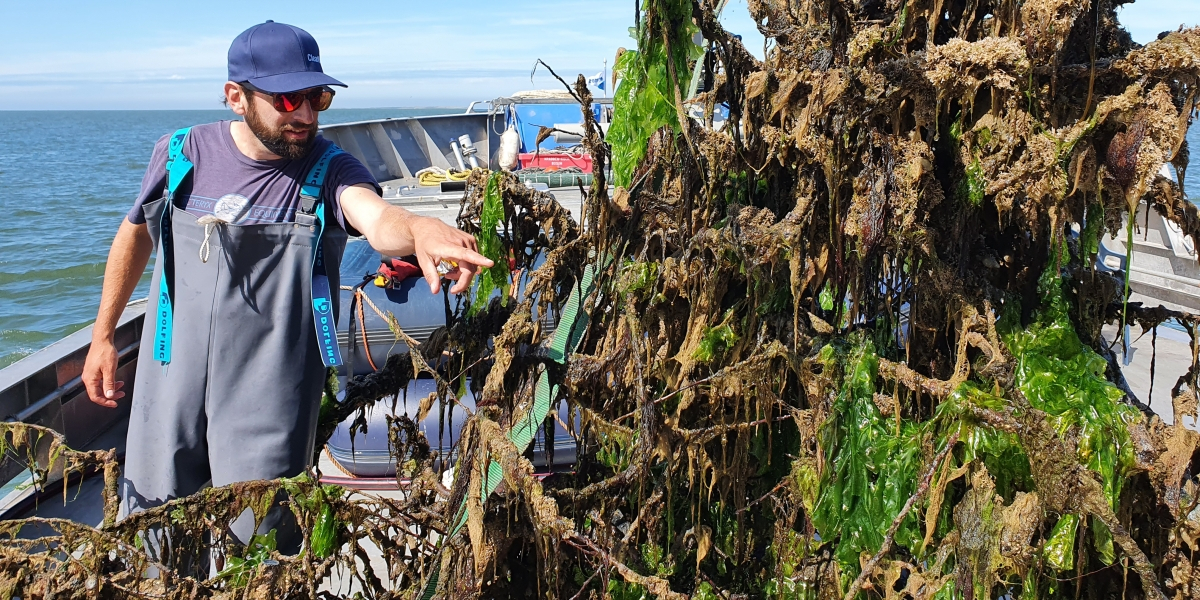 One of the Tree Reefs on deck for sampling and measurements. Photo: Oscar Franken (NIOZ, RUG)