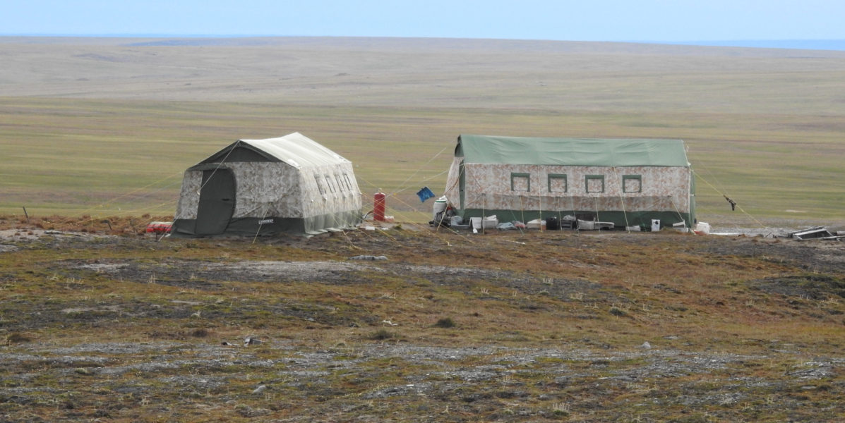 Om 10.45 vertelt Jan van Gils over het onderzoek in Siberië  Foto: NIOZ