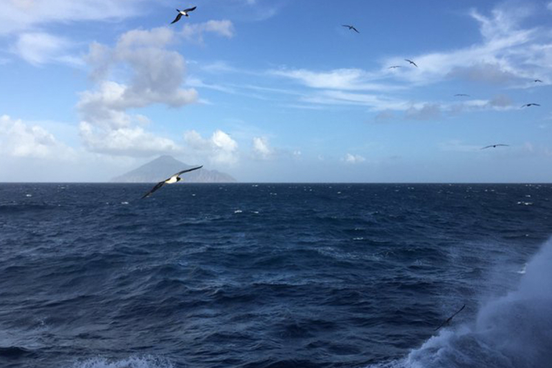 So long, Saba! Photo: Matthew Hunphreys