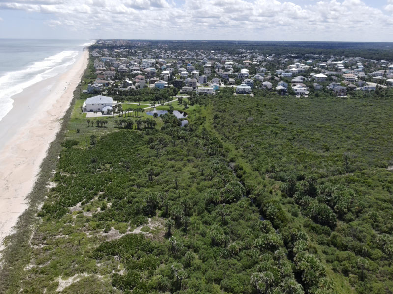 Washington Oaks Florida (USA) coastal squeeze - photo by Orlando Cordero Washington Oaks Florida (USA) coastal squeeze - photo by Orlando Cordero