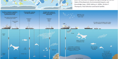 INFOGRAPHIC - Download facts and figures about deep sea and deep sea ining