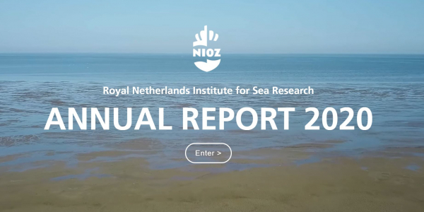 Annual Report 2020