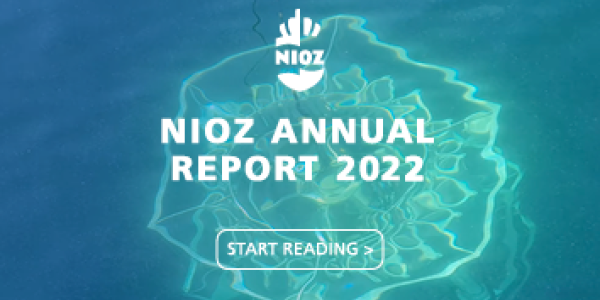 Annual Report 2022