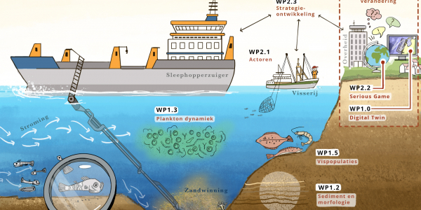 Ecologische effecten zandwinning