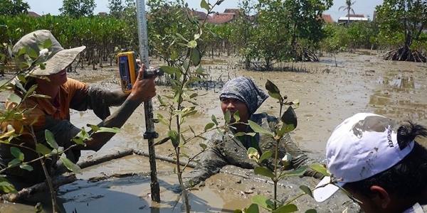 Ecosystem-Restoration for Coastal Protection Centre