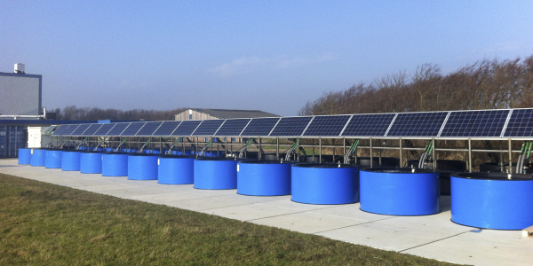 Seaweed Research Centre