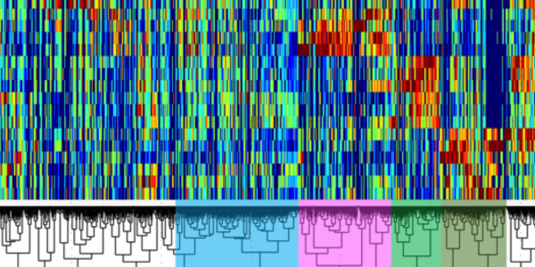 The coral reef metabolome