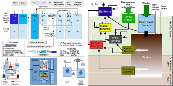 Coupling models