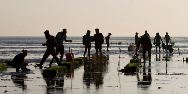 Paradise for migratory birds