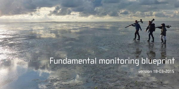 Fundamental monitoring blueprint
