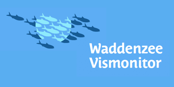 Wadden Sea fish monitor