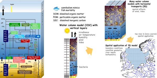 GETM ERSEM BMF model