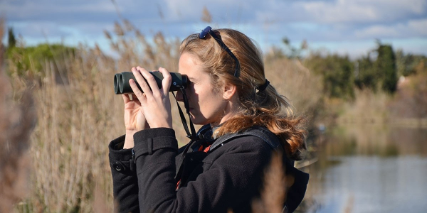 Tracking juvenile spoonbills 2019