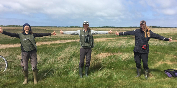 Tracking juvenile spoonbills 2020