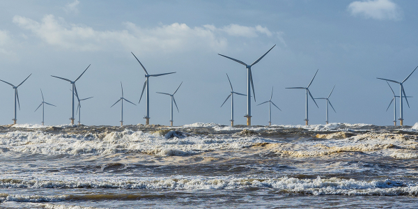 Noordzee in transitie