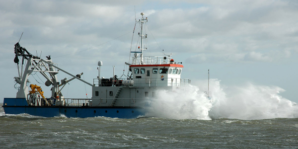 RV Navicula