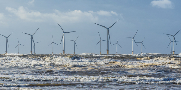 Effects future offshore wind farms