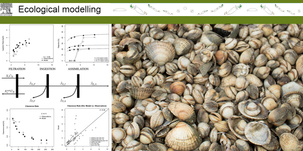 Ecological modelling