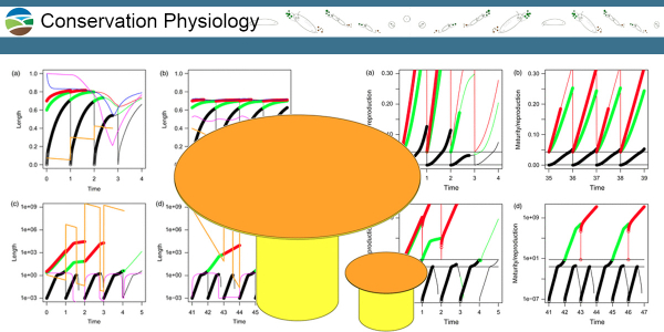 Conservation Physiology