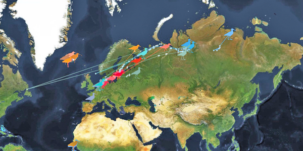 Tracking global movements