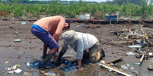 A high price for stopping plastic