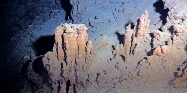 Hydrothermal vent fields