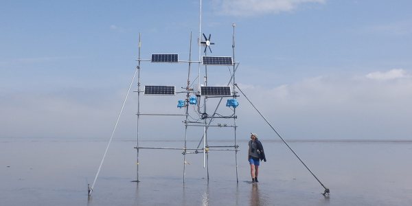 Tracking Wadden Sea shorebirds