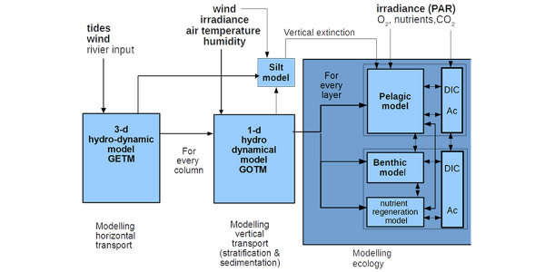 Ecosystem modelling