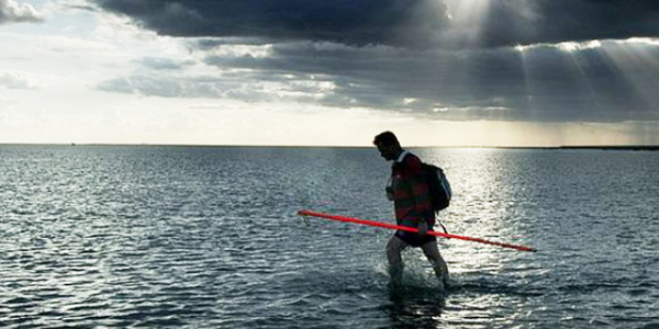 Future Wadden Sea unclear