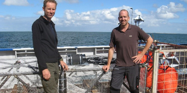 Investigating North Sea Reef